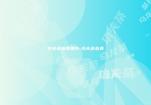 功夫茶茶具图片-功天茶茶具