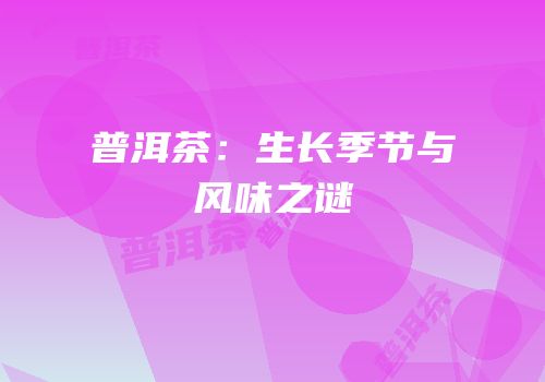 普洱茶：生长季节与风味之谜