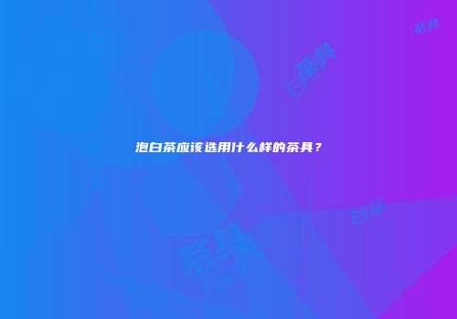 泡白茶应该选用什么样的茶具？