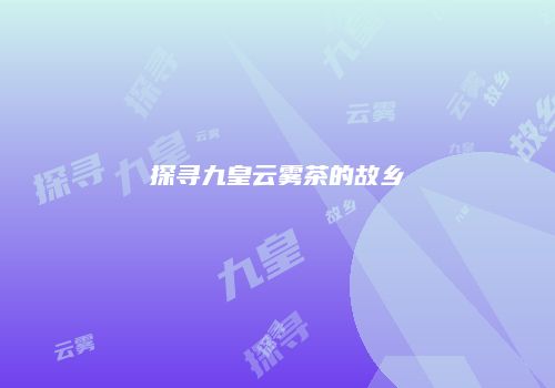 探寻九皇云雾茶的故乡