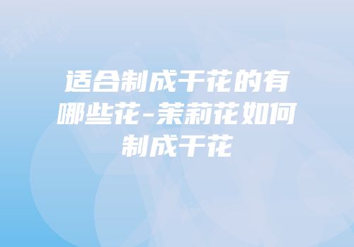 适合制成干花的有哪些花-茉莉花如何制成干花