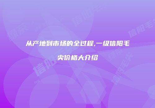 从产地到市场的全过程,一级信阳毛尖价格大介绍