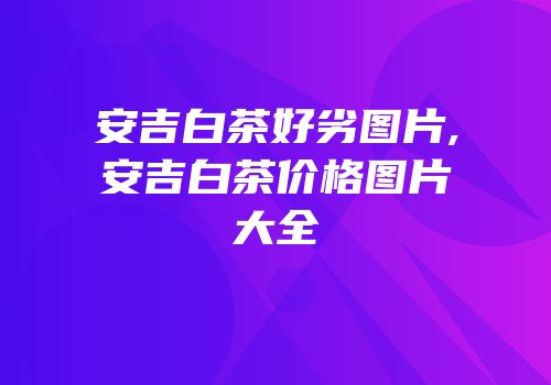 安吉白茶好劣图片,安吉白茶价格图片大全