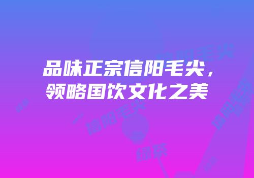 品味正宗信阳毛尖，领略国饮文化之美