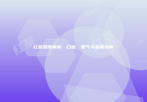 红茶深度解析：口感、香气与品鉴指南