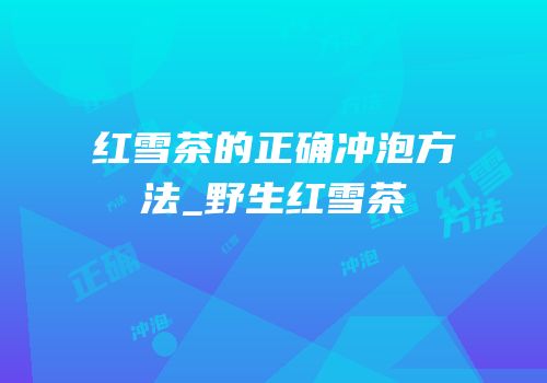 红雪茶的正确冲泡方法_野生红雪茶