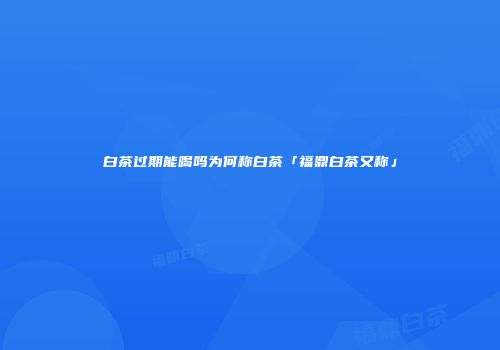 白茶过期能喝吗为何称白茶「福鼎白茶又称」