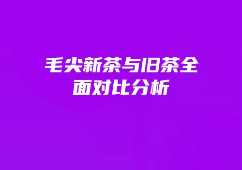 毛尖新茶与旧茶全面对比分析