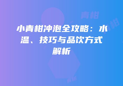 小青柑冲泡全攻略：水温、技巧与品饮方式解析