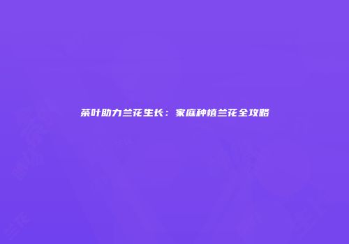 茶叶助力兰花生长：家庭种植兰花全攻略