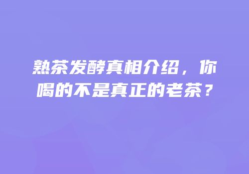 熟茶发酵真相介绍，你喝的不是真正的老茶？
