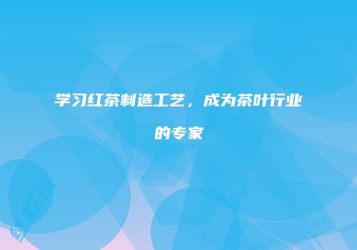 学习红茶制造工艺，成为茶叶行业的专家