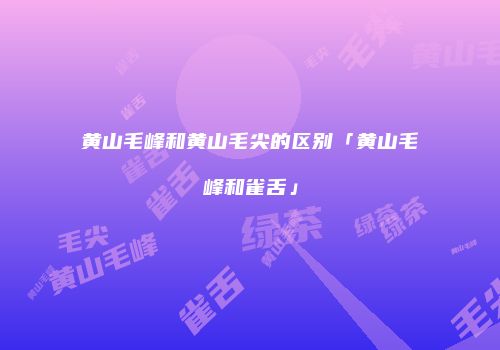 黄山毛峰和黄山毛尖的区别「黄山毛峰和雀舌」