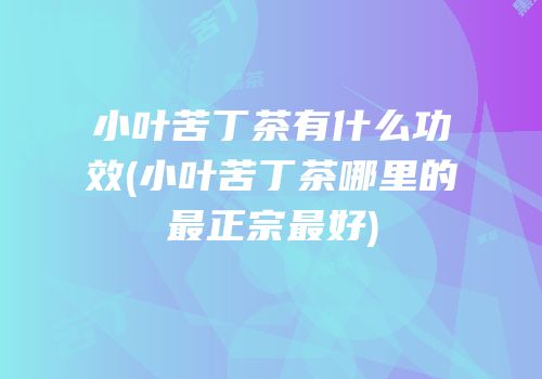 小叶苦丁茶有什么功效(小叶苦丁茶哪里的最正宗最好)