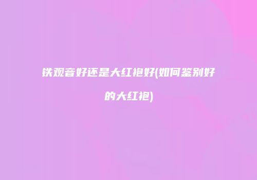 铁观音好还是大红袍好(如何鉴别好的大红袍)