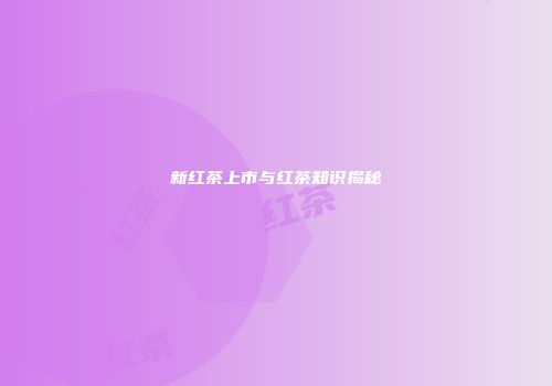 新红茶上市与红茶知识揭秘