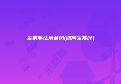 采茶手法示意图(如何采茶叶)
