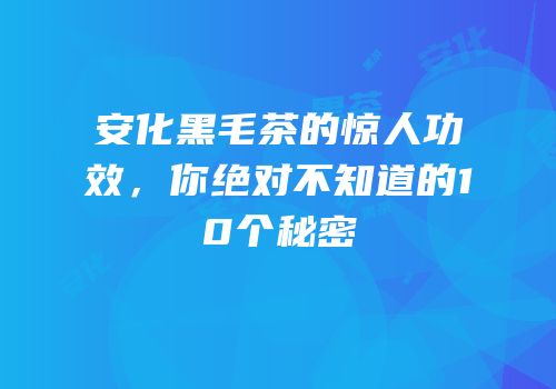 安化黑毛茶的惊人功效，你绝对不知道的10个秘密