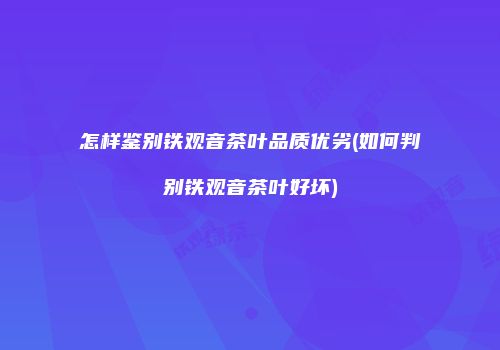 怎样鉴别铁观音茶叶品质优劣(如何判别铁观音茶叶好坏)