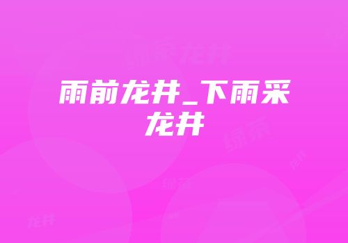 雨前龙井_下雨采龙井