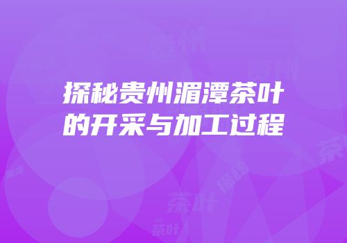 探秘贵州湄潭茶叶的开采与加工过程