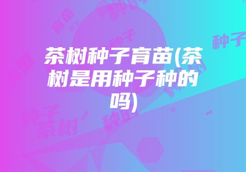 茶树种子育苗(茶树是用种子种的吗)