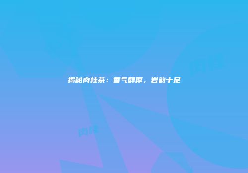 揭秘肉桂茶：香气醇厚，岩韵十足