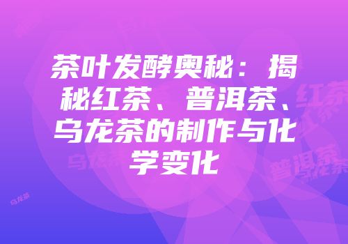 茶叶发酵奥秘：揭秘红茶、普洱茶、乌龙茶的制作与化学变化