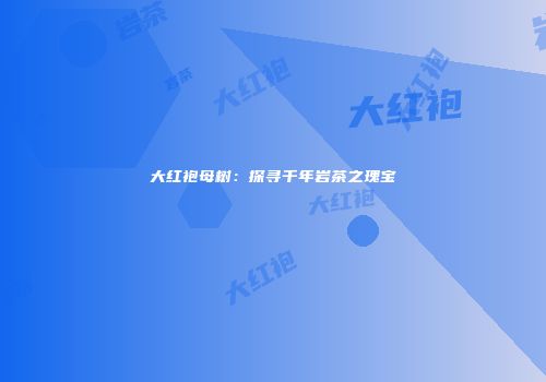 大红袍母树：探寻千年岩茶之瑰宝