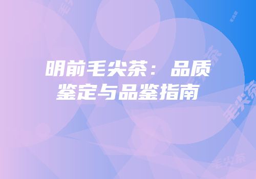 明前毛尖茶：品质鉴定与品鉴指南