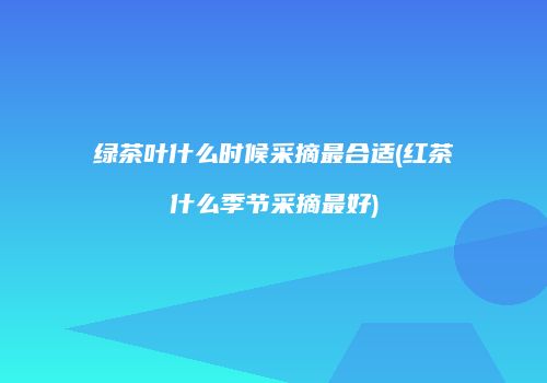 绿茶叶什么时候采摘最合适(红茶什么季节采摘最好)