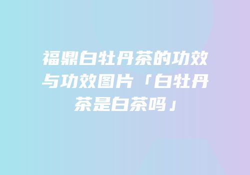 福鼎白牡丹茶的功效与功效图片「白牡丹茶是白茶吗」