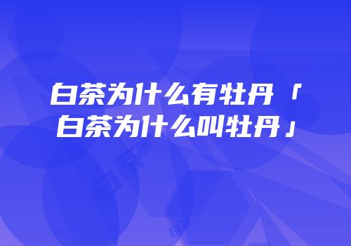 白茶为什么有牡丹「白茶为什么叫牡丹」