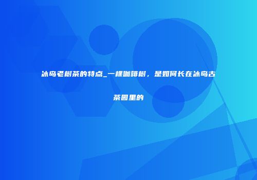 冰岛老树茶的特点_一棵咖啡树，是如何长在冰岛古茶园里的
