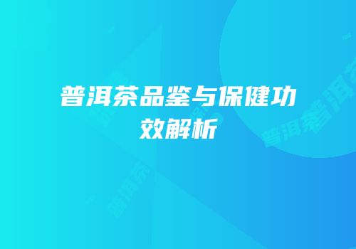 普洱茶品鉴与保健功效解析