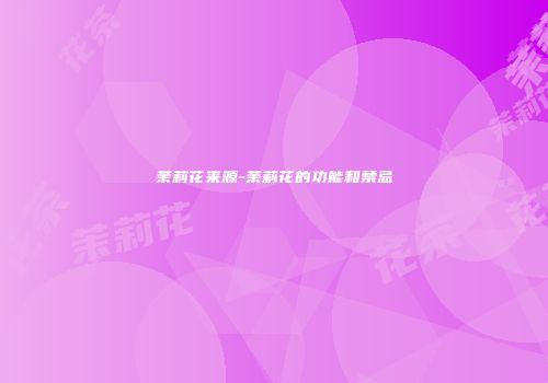 茉莉花来源-茉莉花的功能和禁忌