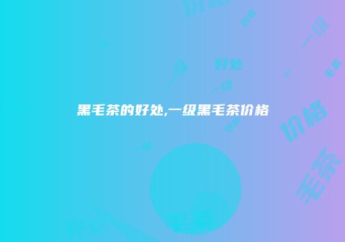 黑毛茶的好处,一级黑毛茶价格