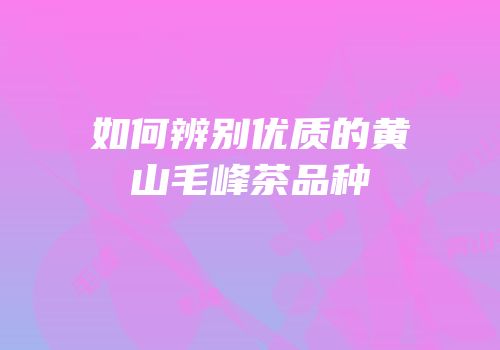 如何辨别优质的黄山毛峰茶品种