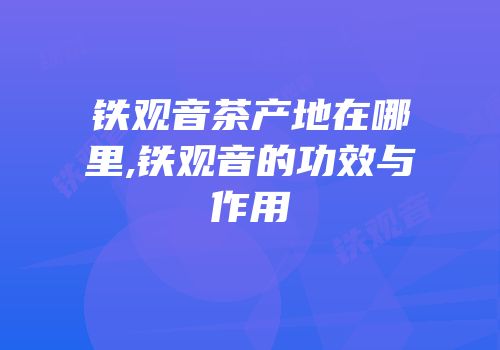 铁观音茶产地在哪里,铁观音的功效与作用