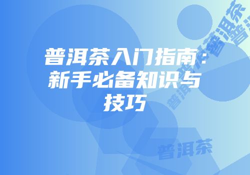 普洱茶入门指南：新手必备知识与技巧