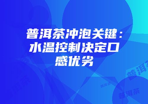 普洱茶冲泡关键：水温控制决定口感优劣