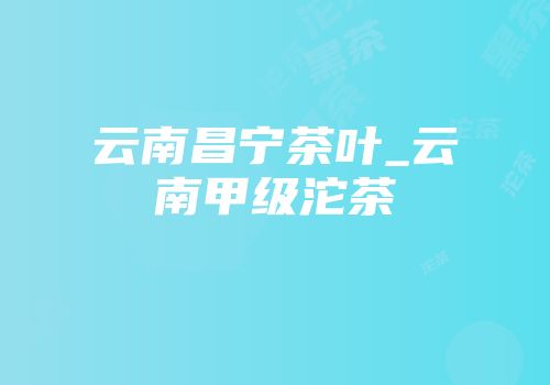 云南昌宁茶叶_云南甲级沱茶