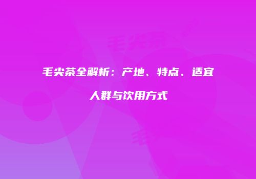 毛尖茶全解析：产地、特点、适宜人群与饮用方式