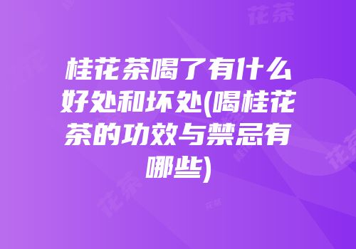 桂花茶喝了有什么好处和坏处(喝桂花茶的功效与禁忌有哪些)
