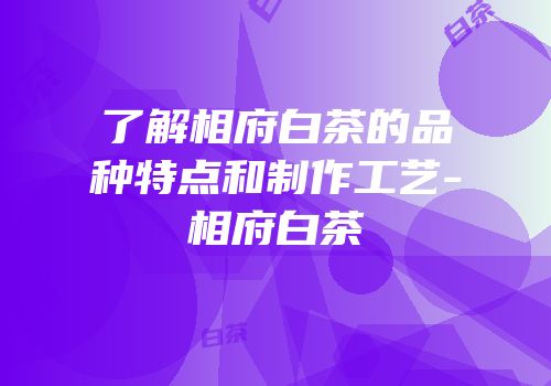 了解相府白茶的品种特点和制作工艺-相府白茶
