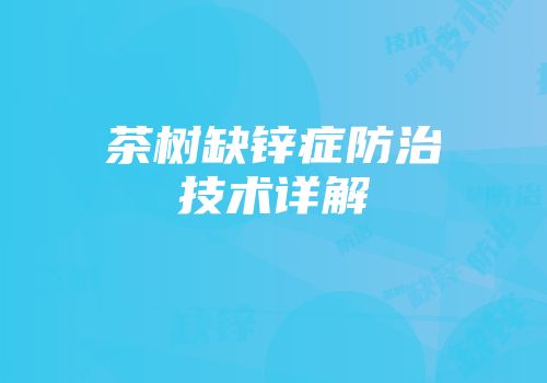 茶树缺锌症防治技术详解