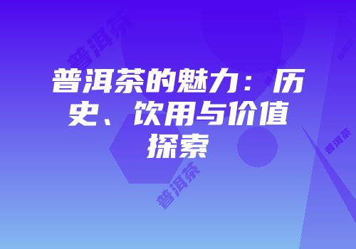 普洱茶的魅力：历史、饮用与价值探索