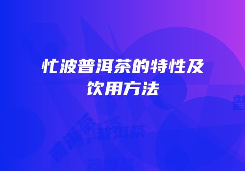 忙波普洱茶的特性及饮用方法