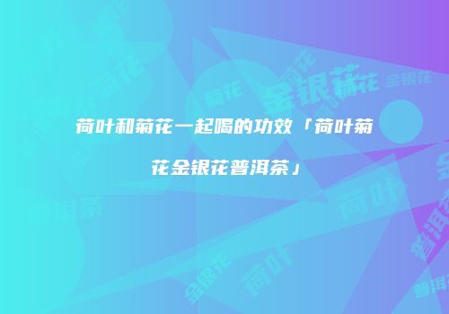 荷叶和菊花一起喝的功效「荷叶菊花金银花普洱茶」