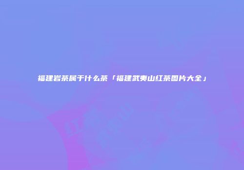 福建岩茶属于什么茶「福建武夷山红茶图片大全」